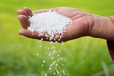 price urea fertilizer