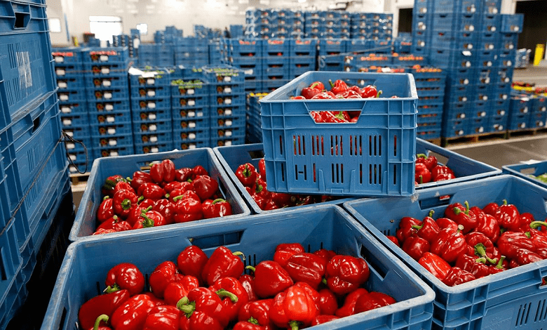 صادرات محصولات غذایی ایرانی به بازارهای جهانی